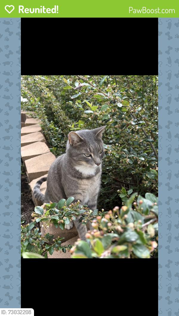 Reunited Male Cat last seen S Malta St and E Lehigh Ave, Aurora, CO 80013