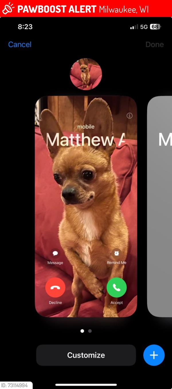 Lost Male Dog last seen BP on 76th and center, Milwaukee, WI 53222