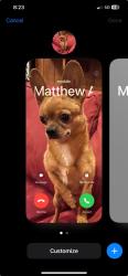 Lost Male Dog last seen BP on 76th and center, Milwaukee, WI 53222