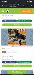 Found/Stray Male Dog last seen Brookwood village apmts, Oklahoma City, OK 73139