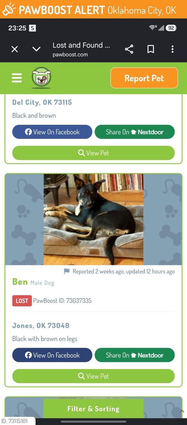 Found/Stray Male Dog last seen Brookwood village apmts, Oklahoma City, OK 73139