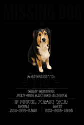 Reunited Female Dog last seen Road 180 and ave 208, Tulare County, CA 93267