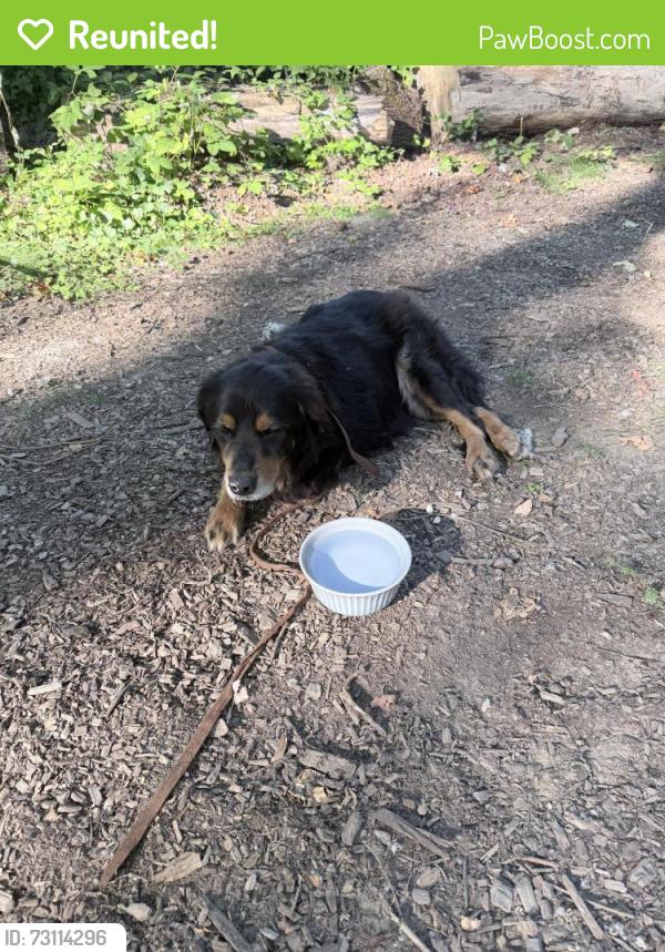 Reunited Unknown Dog last seen Columbia Blvd, Portland, OR 97203