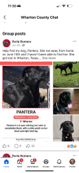 Lost Female Dog last seen Neal rd, Wharton County, TX 77488