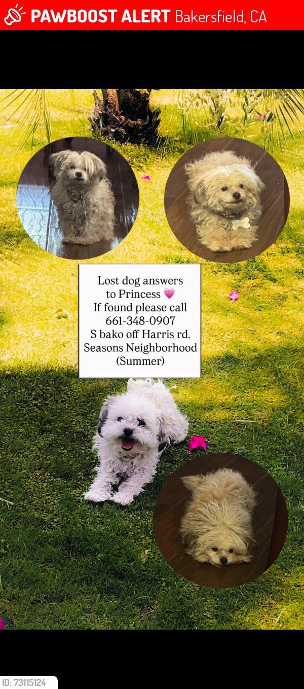 Lost Female Dog last seen Harris, Bakersfield, CA 93313