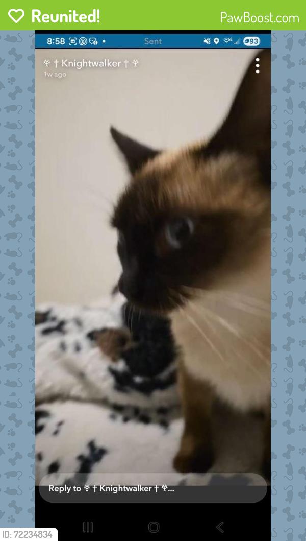 Reunited Female Cat last seen Indiana st and w 4th ave, Golden, CO 80401