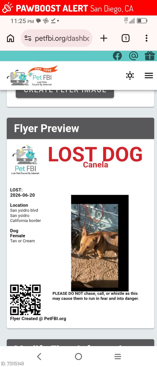 Lost Female Dog last seen By sidro the san ysidro border, San Diego, CA 92173