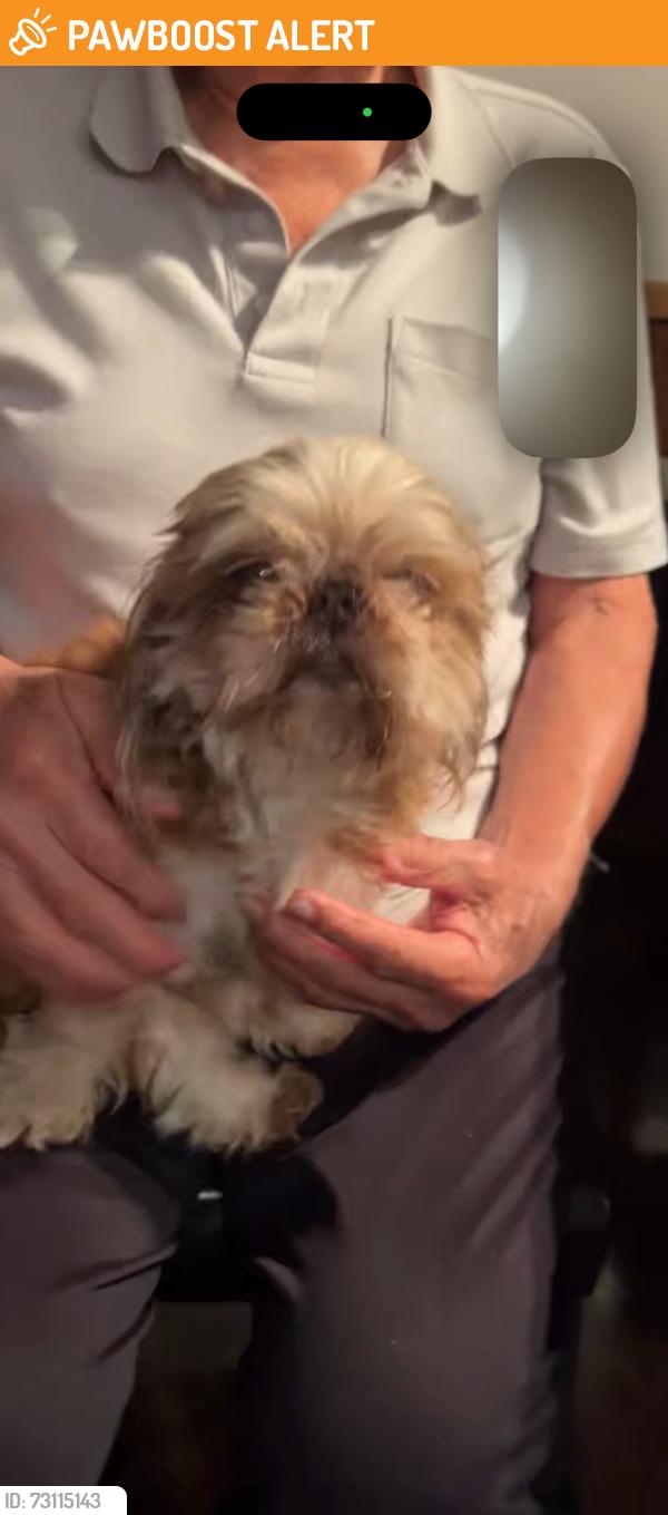 Found/Stray Male Dog last seen Santa Fe high school, Santa Fe Springs, CA 90670