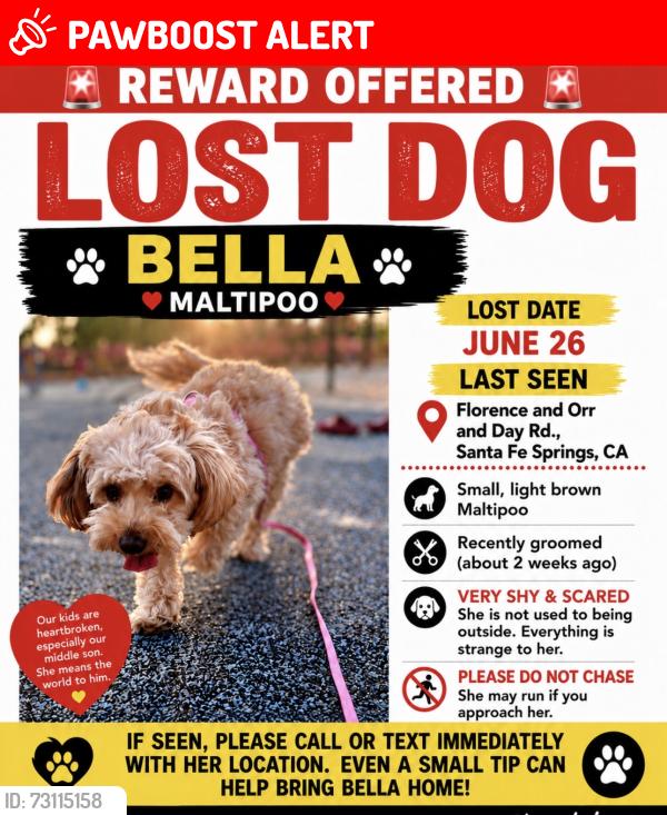 Lost Female Dog last seen Lake center Athletic Park, Santa Fe Springs, CA 90670