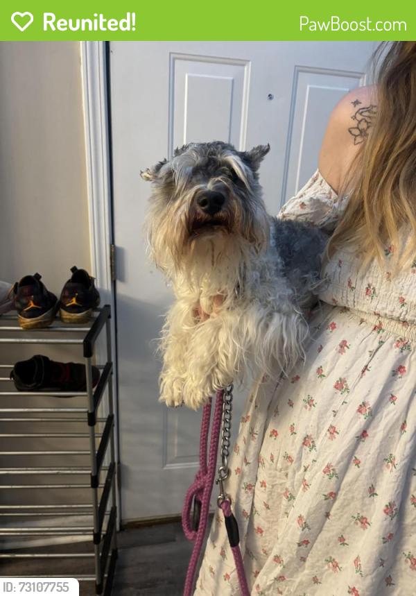 Reunited Male Dog last seen Crestworth crossing, Paulding County, GA 30127