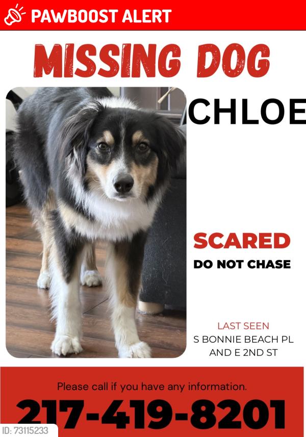 Lost Female Dog last seen S BONNIE BEACH PL AND E 2ND ST, East Los Angeles, CA 90063