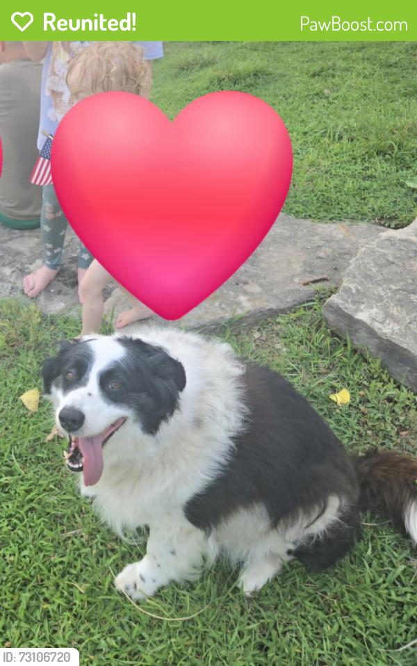 Reunited Female Dog last seen Hillside Honey, W Riley St., 192, 235th St., 243rd St., Easton, KS 66020