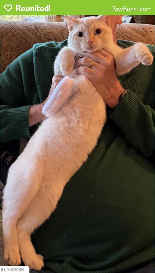 Reunited Male Cat last seen Riverknoll Ct, West Linn, OR 97068