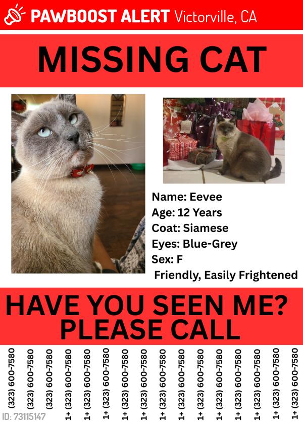 Lost Female Cat last seen La Mesa Rd and Cobalt Rd, Victorville, CA 92392