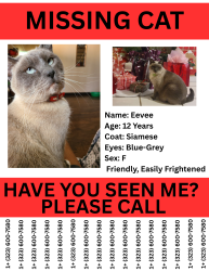 Lost Female Cat last seen La Mesa Rd and Cobalt Rd, Victorville, CA 92392