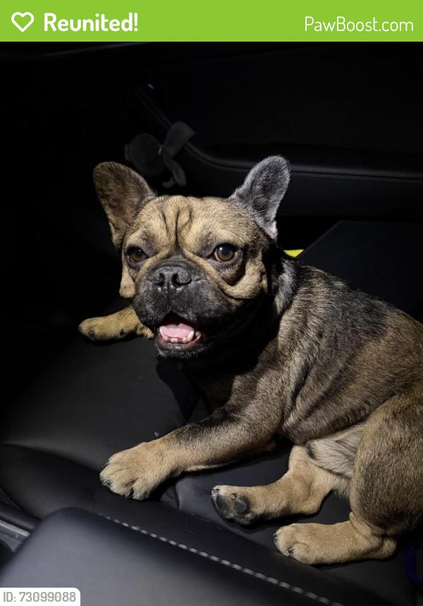 Reunited Male Dog last seen Haverhill ct, Riverside, CA 92503