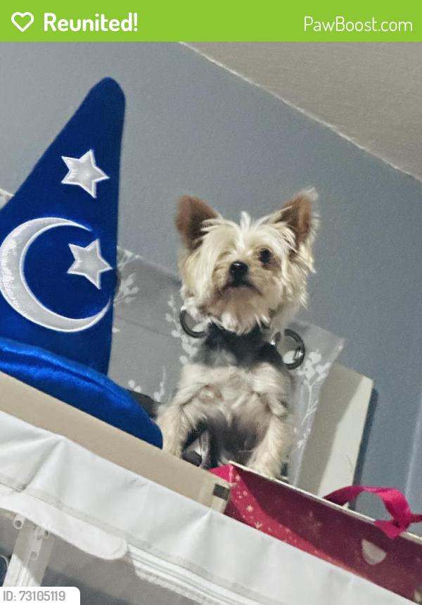 Reunited Male Dog last seen brockton, Riverside, CA 92502