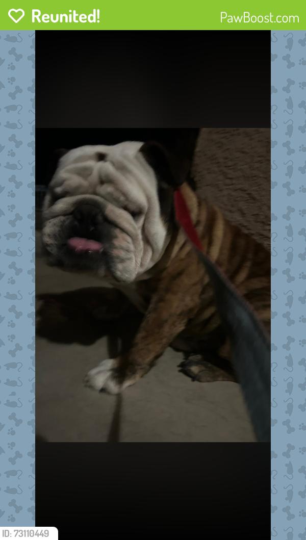 Reunited Male Dog last seen Burwood rd, Victorville, CA 92394