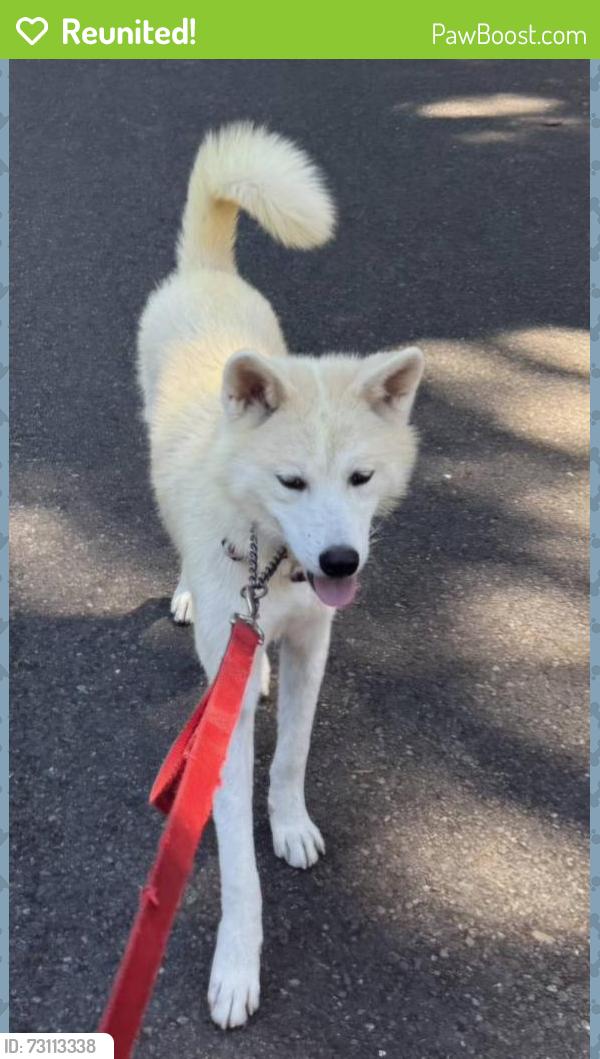 Reunited Male Dog last seen 90th avenue east & 32 street east, Edgewood, Edgewood, WA 98372