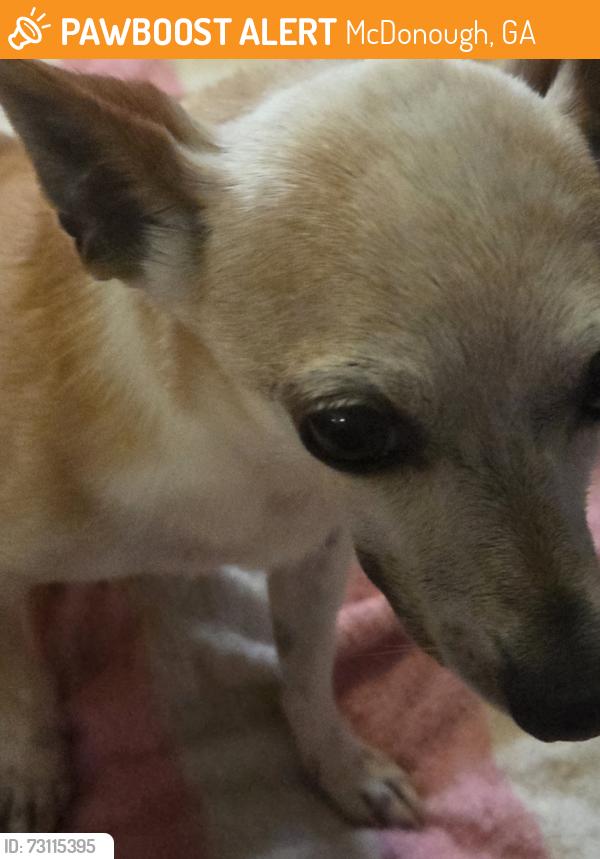 Found/Stray Male Dog last seen Fitness 20/20, McDonough, GA 30253