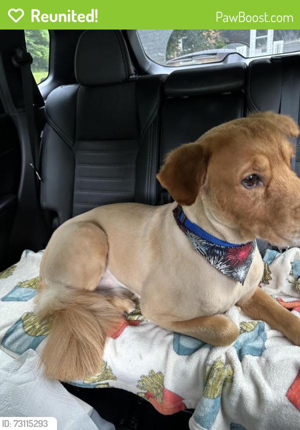Reunited Male Dog last seen Ocean Park Resort, Myrtle Beach, SC 29577