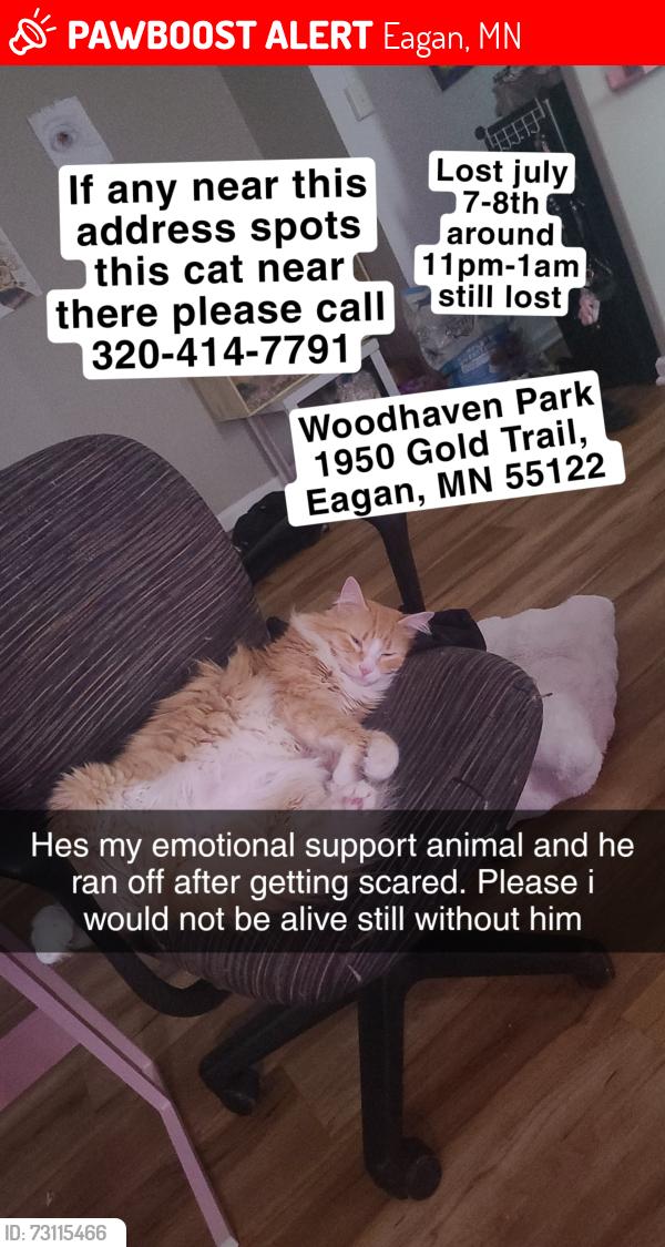Lost Male Cat last seen Woodhaven Park, Eagan, MN 55122