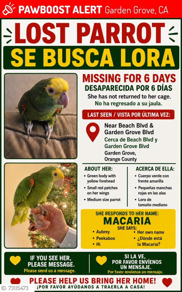 Lost Female Bird last seen Garden grove and beach, Garden Grove, CA 92844