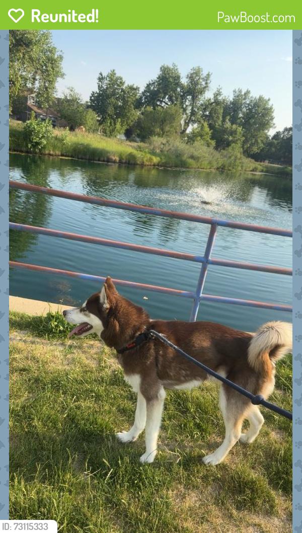 Reunited Male Dog last seen Federal Blvd, Westminster, CO 80031