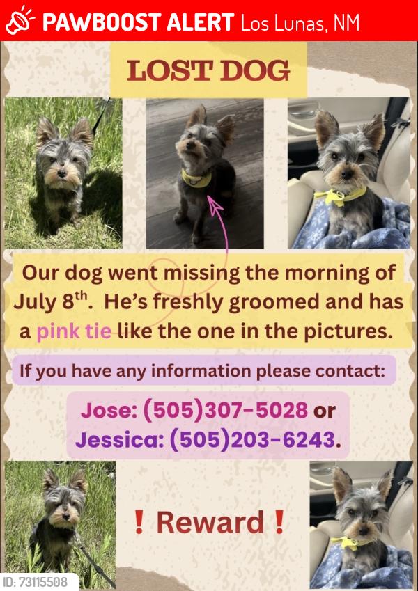 Lost Male Dog last seen High Deal Rd and High Deal Dr, Los Lunas, NM 87031