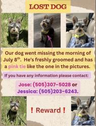 Lost Male Dog last seen High Deal Rd and High Deal Dr, Los Lunas, NM 87031