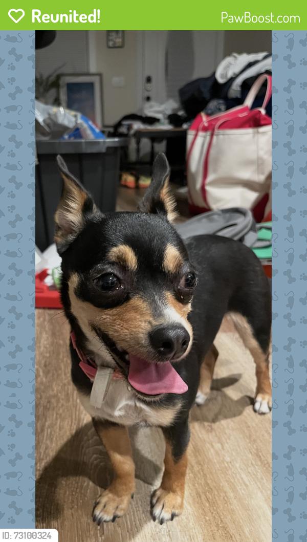 Reunited Female Dog last seen East Geer St., Durham, NC 27704