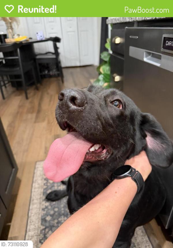 Reunited Female Dog last seen Rock & Rollover Dog Boarding, Chambersburg, PA 17202