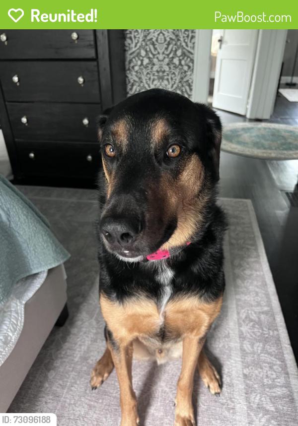 Reunited Male Dog last seen Near Weiler Rd, Burlington, WI 53105, USA, Burlington, WI 53105