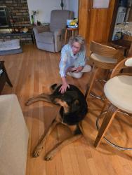 Reunited Male Dog last seen Marine drive, Burlington, WI 53105