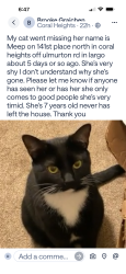 Lost Female Cat last seen Coral heights, Largo, FL 33771