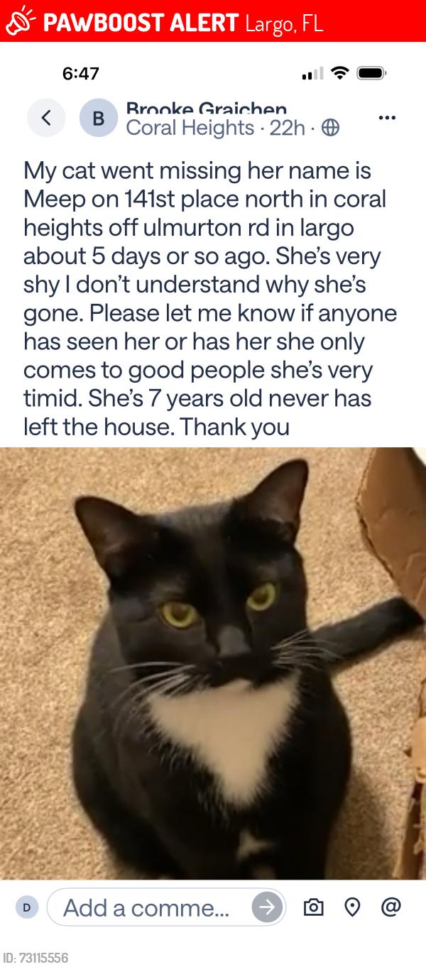 Lost Female Cat last seen Coral heights, Largo, FL 33771