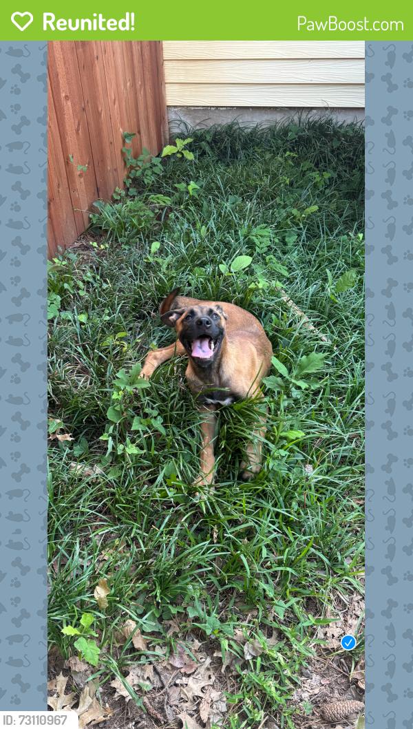 Reunited Male Dog last seen Arlington i career and technical center, Arlington, TX 76010