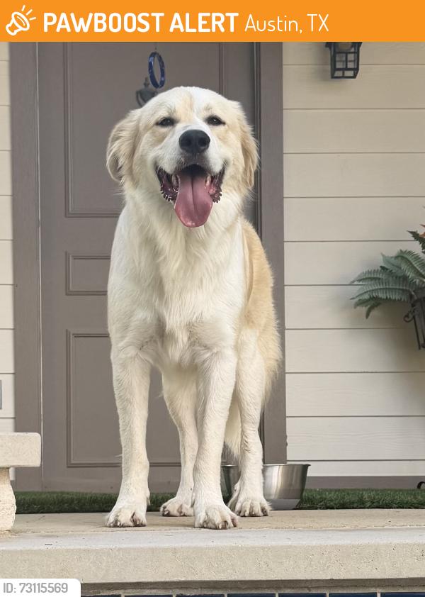 Found/Stray Male Dog last seen St Edward’s park, Austin, TX 78759