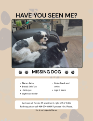 Reunited Male Dog last seen Elevate 23 apmts off Cobb Parkway, Smyrna, GA 30080