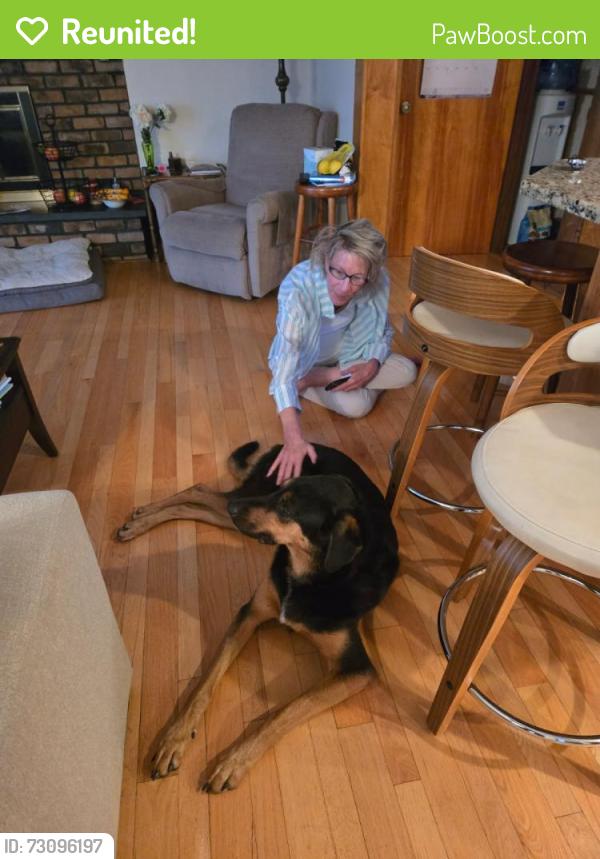 Reunited Male Dog last seen Marine drive, Burlington, WI 53105
