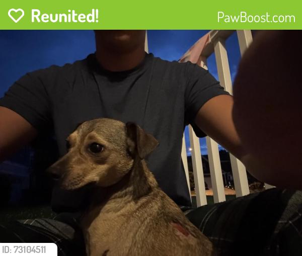 Reunited Male Dog last seen Rosemary, Burlington, NC 27215