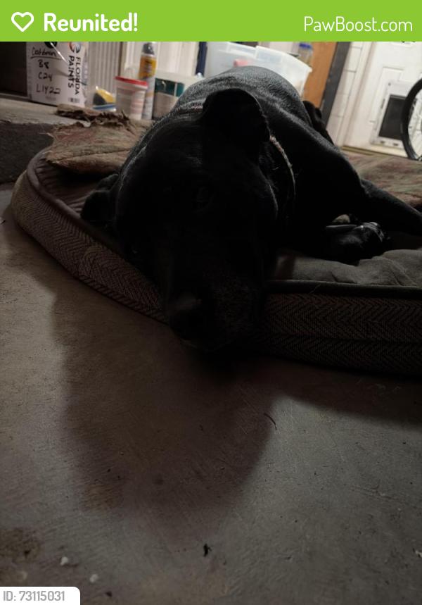 Reunited Male Dog last seen Magnolia Homes Rd. & Rundle Rd., Lockhart, FL 32810
