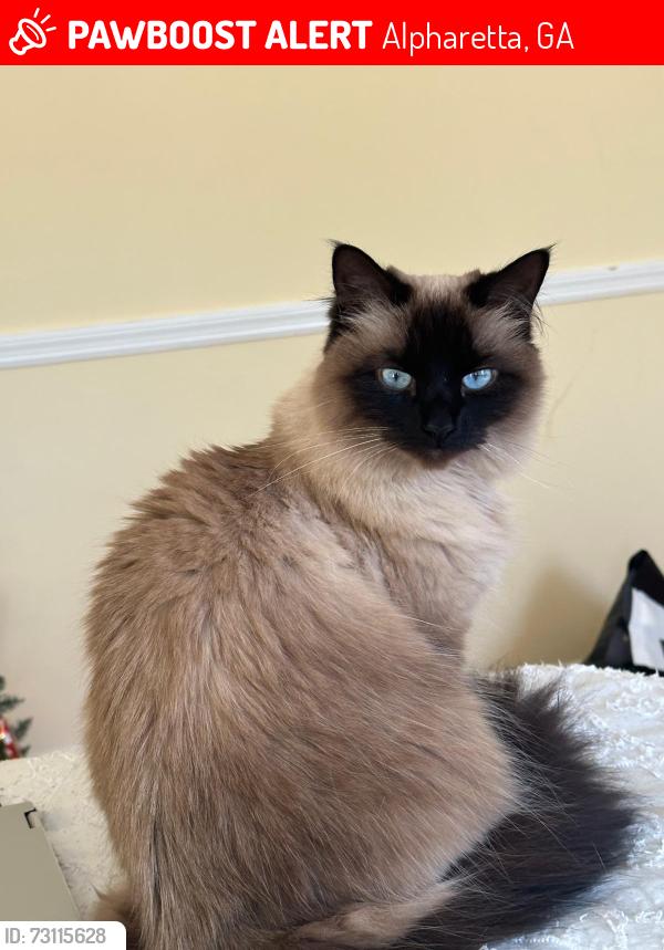 Lost Female Cat last seen Leeward walk Cir, Alpharetta, GA 30005