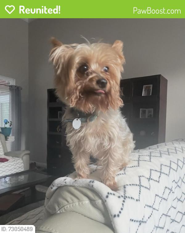 Reunited Male Dog last seen Hillcrest/Nevius, Theodore, AL 36619