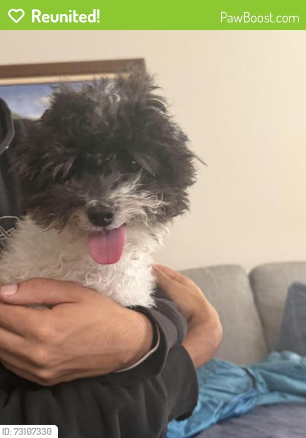 Reunited Male Dog last seen Long green parkway, Blythewood, SC 29229