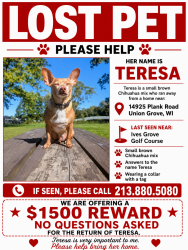 Lost Female Dog last seen Near PLANK ROAD, UNION GROVE WI, Union Grove, WI 53182