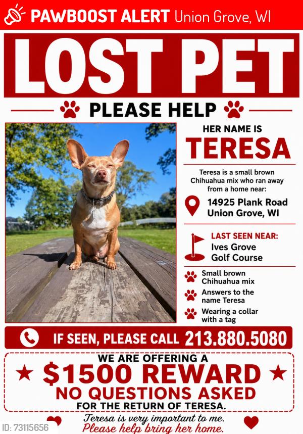 Lost Female Dog last seen Near PLANK ROAD, UNION GROVE WI, Union Grove, WI 53182