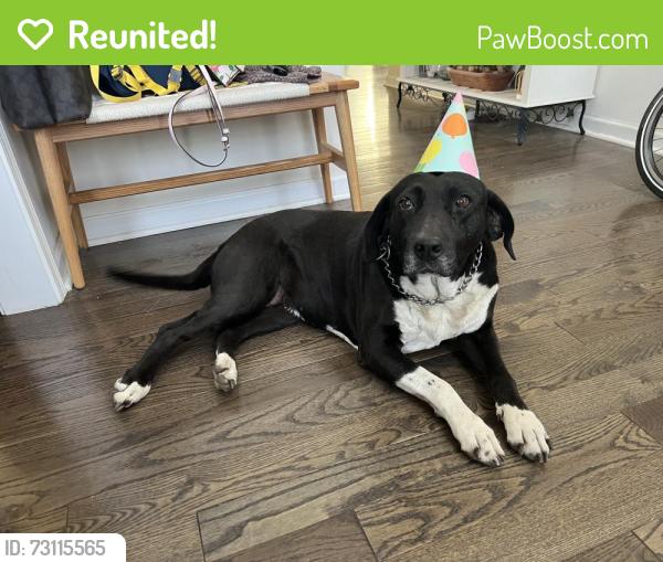 Reunited Female Dog last seen Winget Rd & planters row, Charlotte, NC 28278