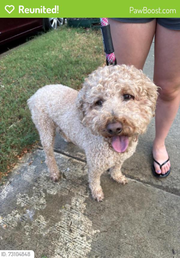 Reunited Male Dog last seen Heritage Trace and Barksdale, Fort Worth, TX 76244