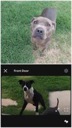 Found/Stray Unknown Dog last seen Near nw 90th st okc 73114, Oklahoma City, OK 73114
